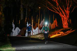 BIB: 
                            <button type="button" onclick="openModal(22511471)" class="btn btn-primary btn-sm float-right btn-popup" data-toggle="modal" data-target=".modal-high-quality">
                        <i class="fas fa-shopping-cart"></i> Add to Cart
                    </button>
                                            <button type="button" onclick="isThisMe(22511471, true)" class="btn btn-success btn-sm float-right btn-popup btn-isme hidden" data-toggle="tooltip" data-placement="bottom" title="นี่คือรูปของคุณใช่ไหม คลิกที่นี่เพื่อเอาเข้าอัลบั้ม">
                        <i class="fas fa-plus"></i> Add to album
                    </button>
                    <button type="button" onclick="isThisMe(22511471, false)" class="btn btn-warning btn-sm float-right btn-popup btn-isnotme hidden">
                        <i class="fas fa-ban"></i> Remove from album
                    </button>